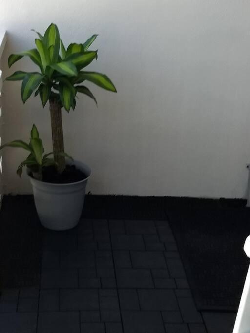 Pool Front & Across From Beach 默特尔比奇 外观 照片