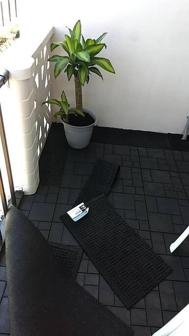 Pool Front & Across From Beach 默特尔比奇 外观 照片